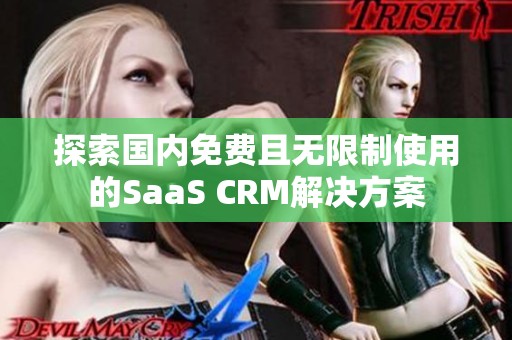 探索国内免费且无限制使用的SaaS CRM解决方案