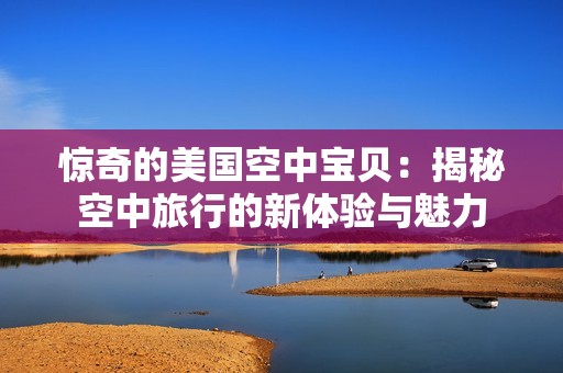 惊奇的美国空中宝贝：揭秘空中旅行的新体验与魅力