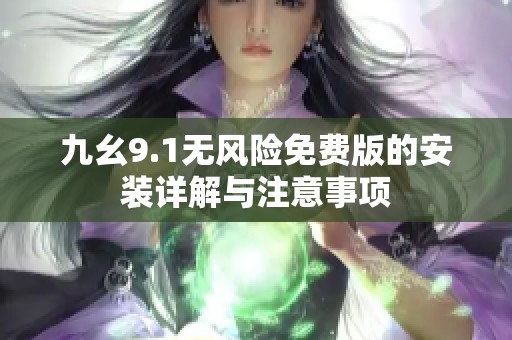 九幺9.1无风险免费版的安装详解与注意事项