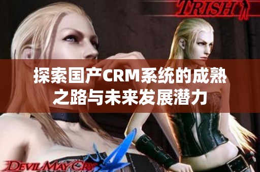 探索国产CRM系统的成熟之路与未来发展潜力