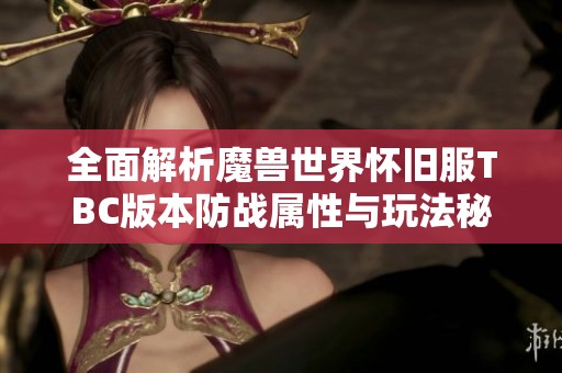 全面解析魔兽世界怀旧服TBC版本防战属性与玩法秘诀