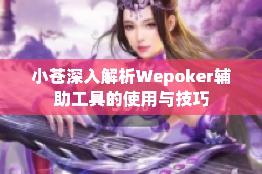 小苍深入解析Wepoker辅助工具的使用与技巧