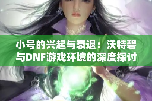 小号的兴起与衰退：沃特碧与DNF游戏环境的深度探讨