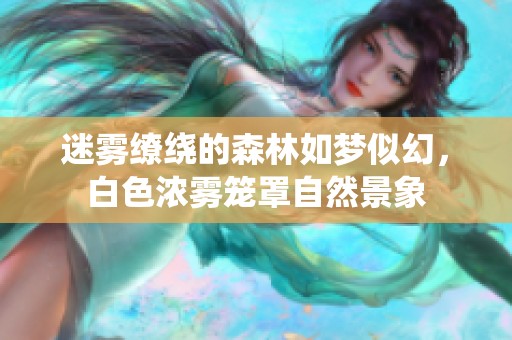 迷雾缭绕的森林如梦似幻，白色浓雾笼罩自然景象