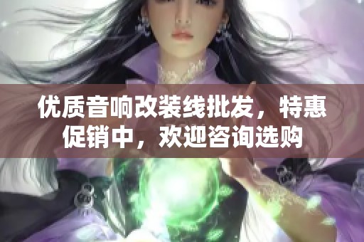 优质音响改装线批发，特惠促销中，欢迎咨询选购