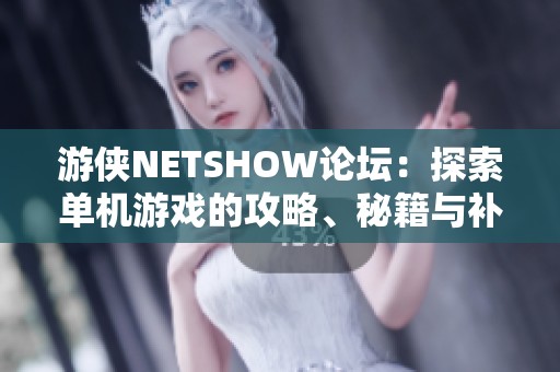 游侠NETSHOW论坛：探索单机游戏的攻略、秘籍与补丁分享