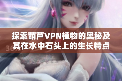 探索葫芦VPN植物的奥秘及其在水中石头上的生长特点