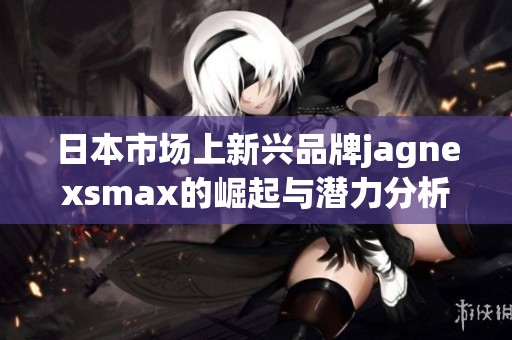 日本市场上新兴品牌jagnexsmax的崛起与潜力分析