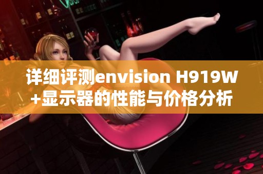 详细评测envision H919W+显示器的性能与价格分析