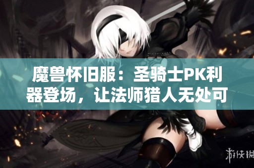 魔兽怀旧服：圣骑士PK利器登场，让法师猎人无处可逃