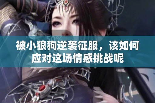 被小狼狗逆袭征服，该如何应对这场情感挑战呢