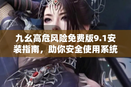 九幺高危风险免费版9.1安装指南，助你安全使用系统