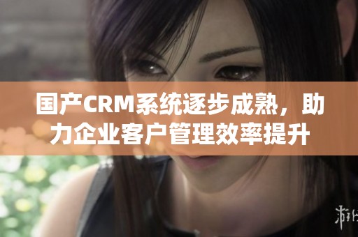 国产CRM系统逐步成熟，助力企业客户管理效率提升