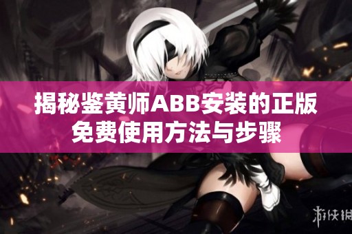 揭秘鉴黄师ABB安装的正版免费使用方法与步骤