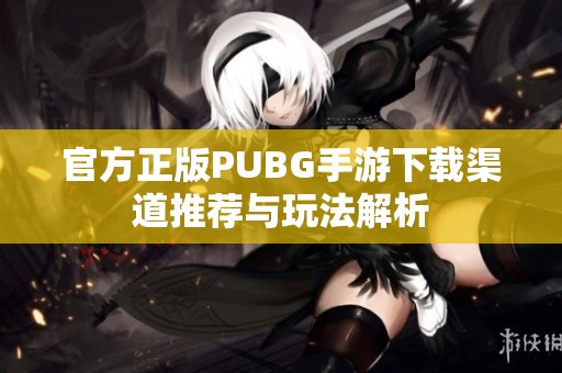 官方正版PUBG手游下载渠道推荐与玩法解析