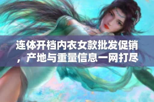 连体开档内衣女款批发促销，产地与重量信息一网打尽