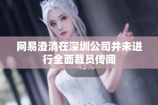 网易澄清在深圳公司并未进行全面裁员传闻