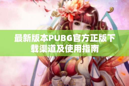 最新版本PUBG官方正版下载渠道及使用指南