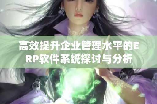 高效提升企业管理水平的ERP软件系统探讨与分析