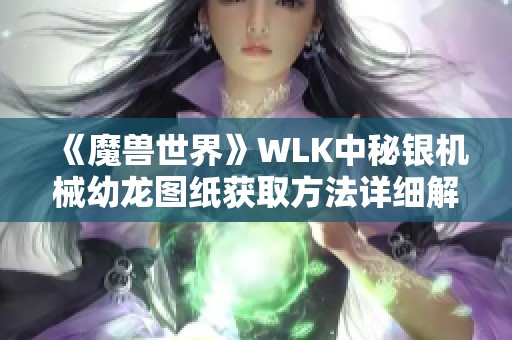 《魔兽世界》WLK中秘银机械幼龙图纸获取方法详细解析与购买地点推荐