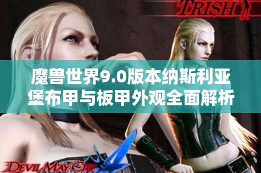 魔兽世界9.0版本纳斯利亚堡布甲与板甲外观全面解析：品质特点与设计风格介绍