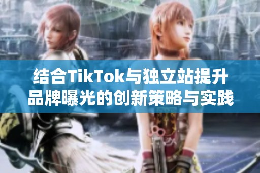 结合TikTok与独立站提升品牌曝光的创新策略与实践分享