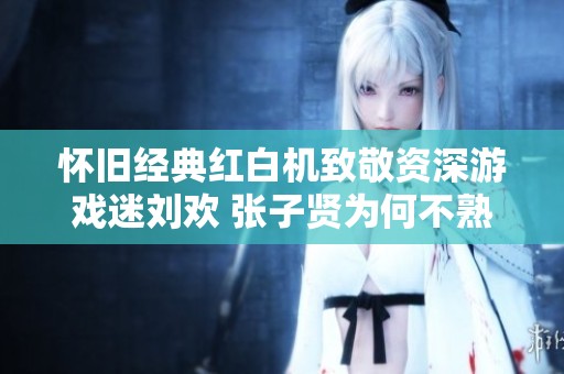 怀旧经典红白机致敬资深游戏迷刘欢 张子贤为何不熟悉这一时代符号