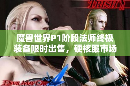 魔兽世界P1阶段法师终极装备限时出售，硬核服市场售价高达400元