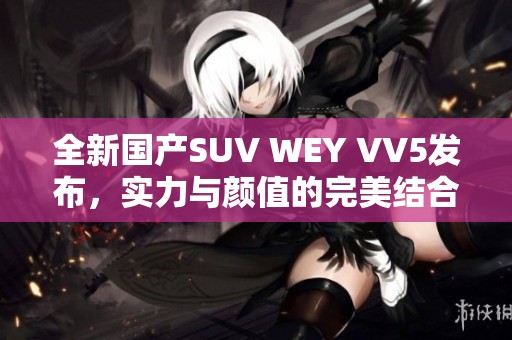 全新国产SUV WEY VV5发布，实力与颜值的完美结合