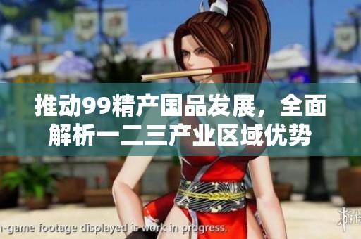 推动99精产国品发展，全面解析一二三产业区域优势