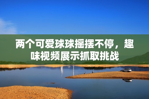 两个可爱球球摇摆不停，趣味视频展示抓取挑战