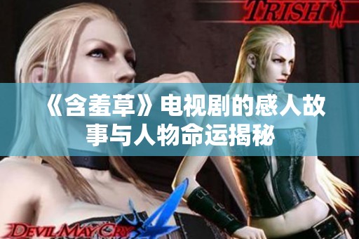 《含羞草》电视剧的感人故事与人物命运揭秘