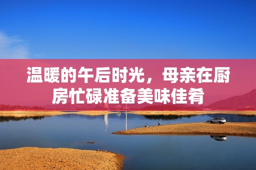 温暖的午后时光，母亲在厨房忙碌准备美味佳肴