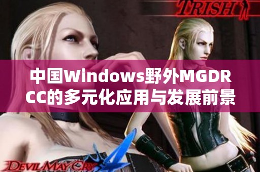 中国Windows野外MGDRCC的多元化应用与发展前景探讨