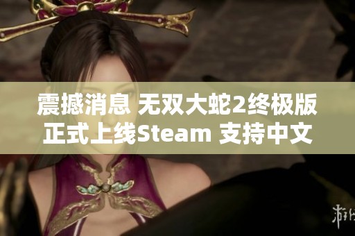 震撼消息 无双大蛇2终极版正式上线Steam 支持中文玩家燃情再战