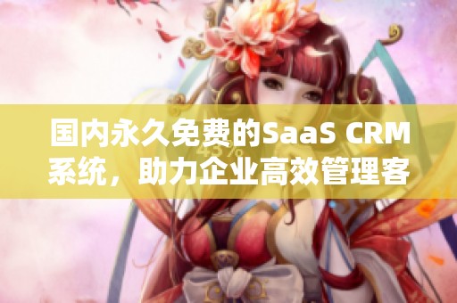 国内永久免费的SaaS CRM系统，助力企业高效管理客户关系