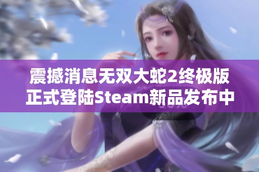 震撼消息无双大蛇2终极版正式登陆Steam新品发布中文支持引发玩家热议