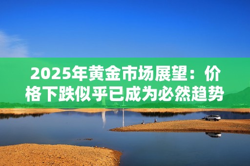 2025年黄金市场展望：价格下跌似乎已成为必然趋势