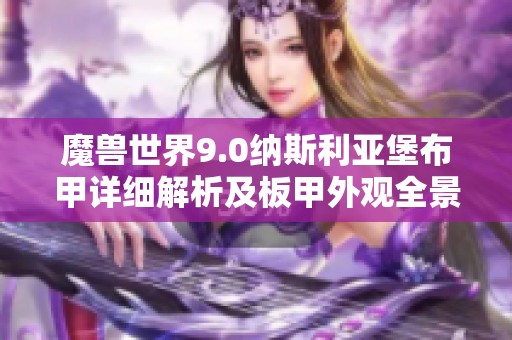 魔兽世界9.0纳斯利亚堡布甲详细解析及板甲外观全景展示