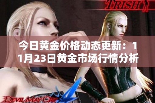 今日黄金价格动态更新：11月23日黄金市场行情分析  