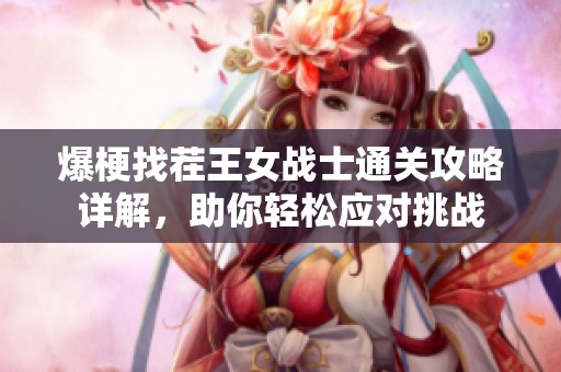 爆梗找茬王女战士通关攻略详解，助你轻松应对挑战