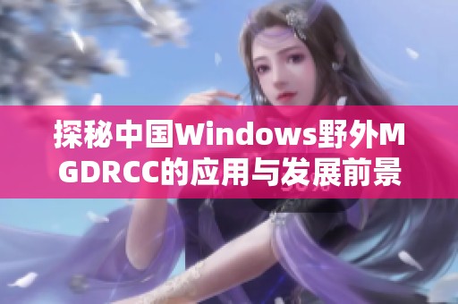 探秘中国Windows野外MGDRCC的应用与发展前景