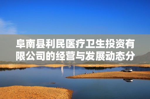 阜南县利民医疗卫生投资有限公司的经营与发展动态分析