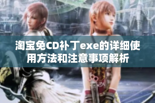 淘宝免CD补丁exe的详细使用方法和注意事项解析