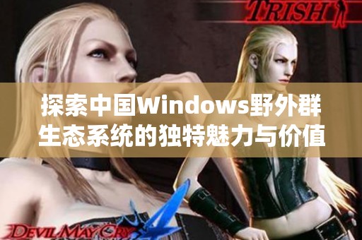 探索中国Windows野外群生态系统的独特魅力与价值