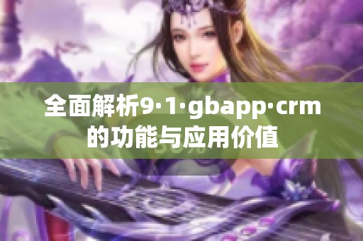 全面解析9·1·gbapp·crm的功能与应用价值