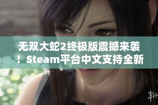 无双大蛇2终极版震撼来袭！Steam平台中文支持全新体验