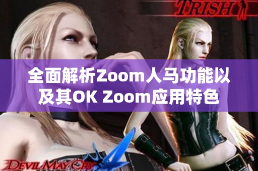 全面解析Zoom人马功能以及其OK Zoom应用特色